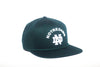 University of Notre Dame Classic Retro Snapback Hat – Pantone